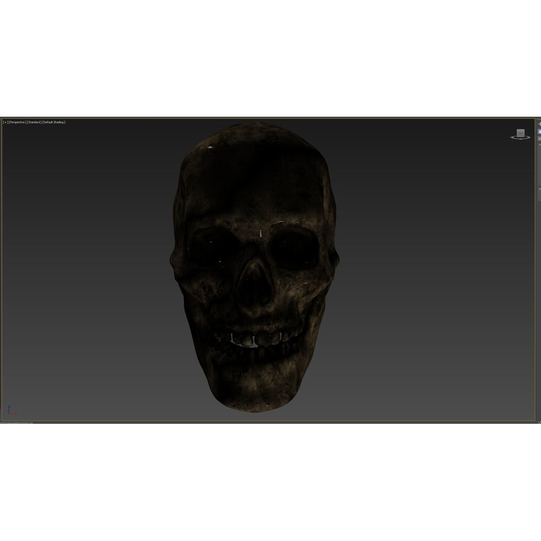 Human Skull 3D Model – Low Poly PBR Asset for Games, FBX - View 11