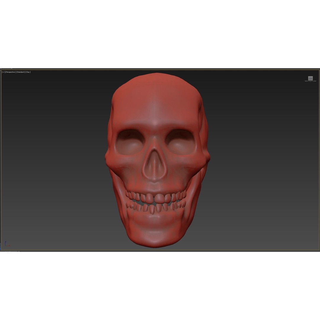 Human Skull 3D Model – Low Poly PBR Asset for Games, FBX - View 8