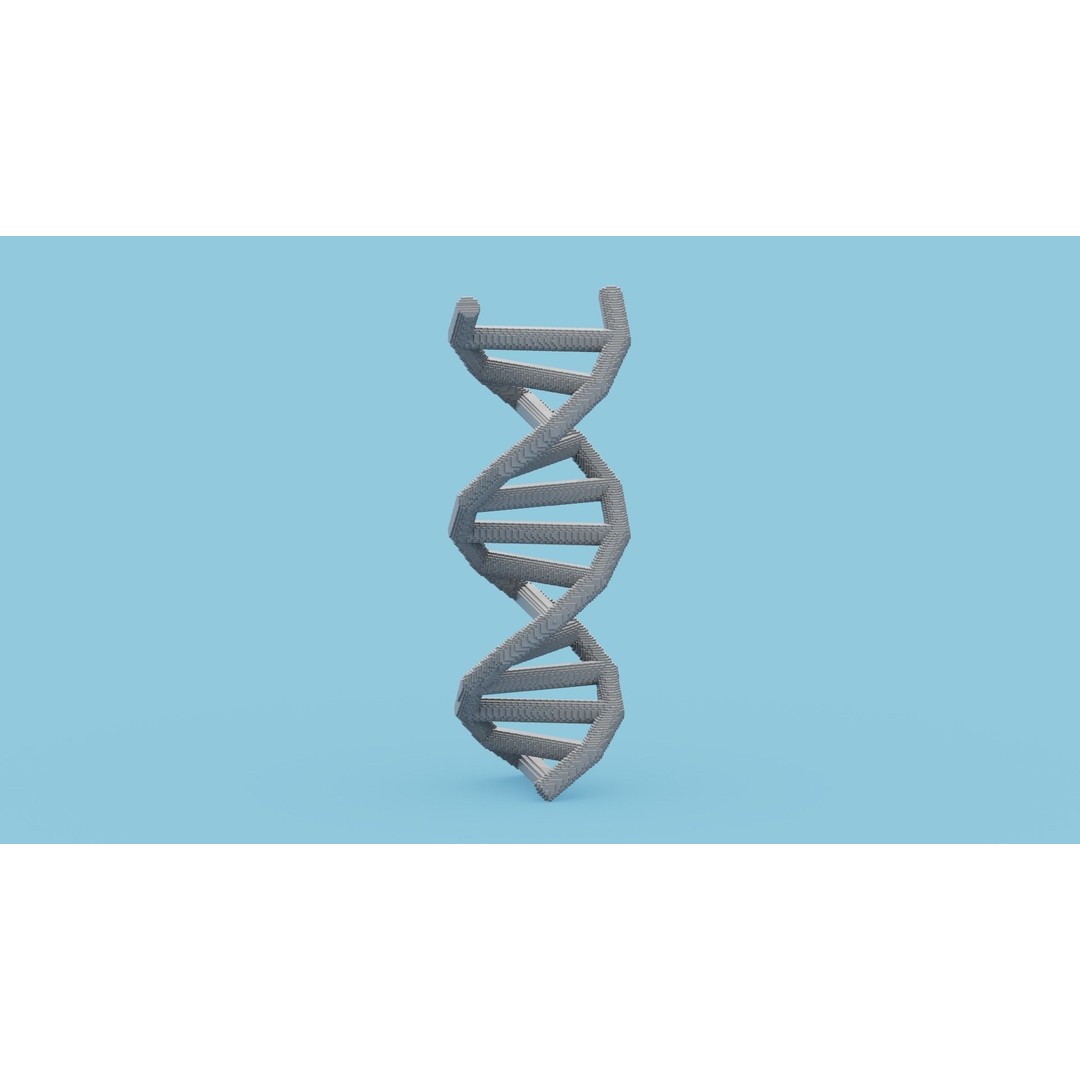 DNA Voxel 3D Model – Low Poly Game Asset, FBX, OBJ, Blender - View 10