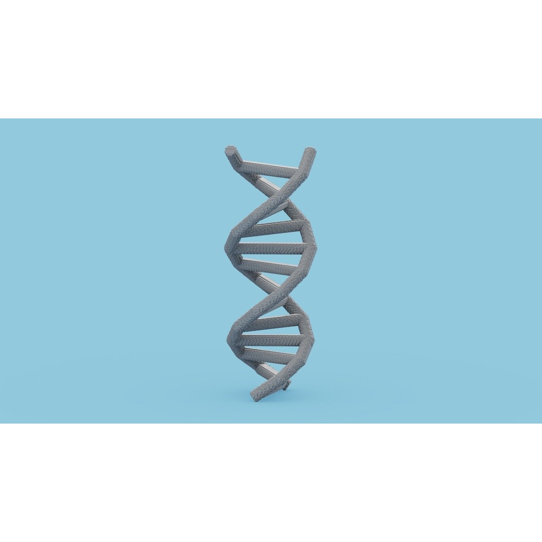 DNA Voxel 3D Model – Low Poly Game Asset, FBX, OBJ, Blender - View 11