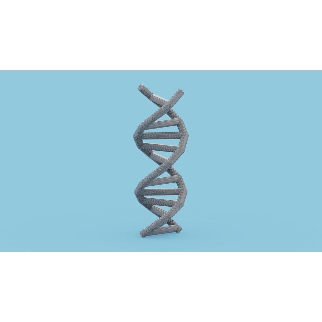 DNA Voxel 3D Model – Low Poly Game Asset, FBX, OBJ, Blender - View 12
