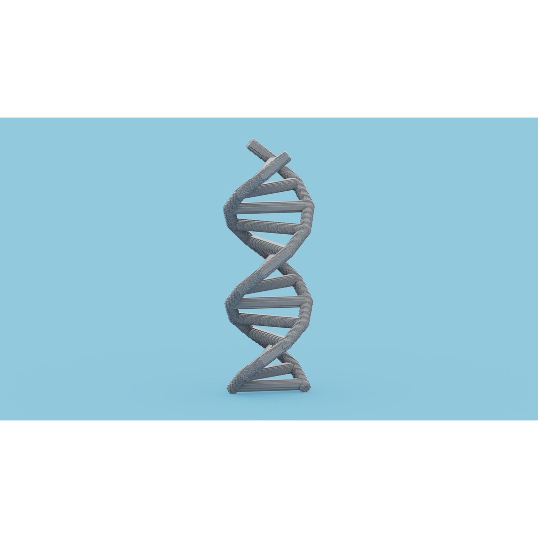 DNA Voxel 3D Model – Low Poly Game Asset, FBX, OBJ, Blender - View 13