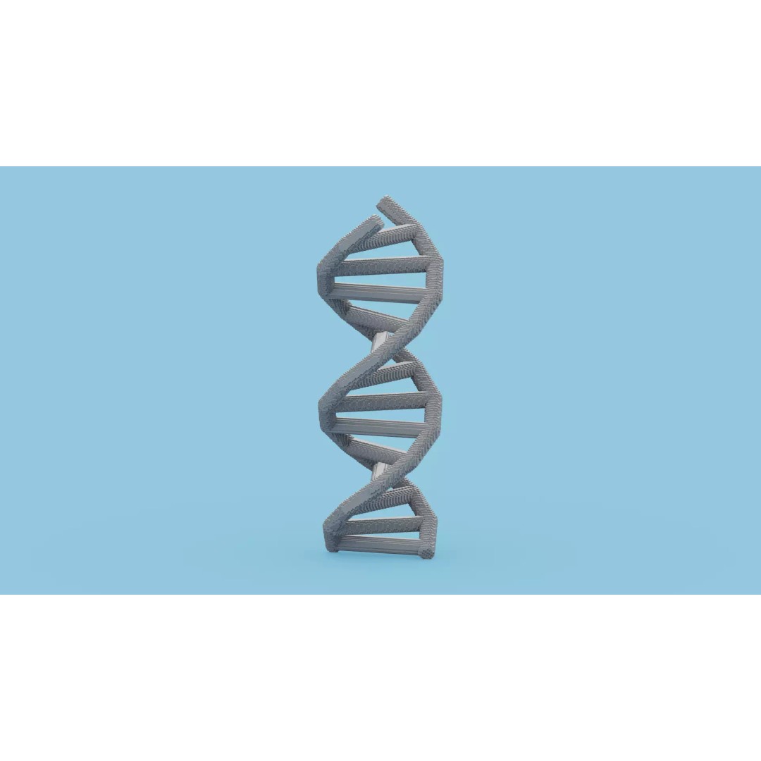 DNA Voxel 3D Model – Low Poly Game Asset, FBX, OBJ, Blender - View 2