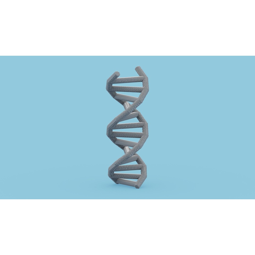 DNA Voxel 3D Model – Low Poly Game Asset, FBX, OBJ, Blender - View 3