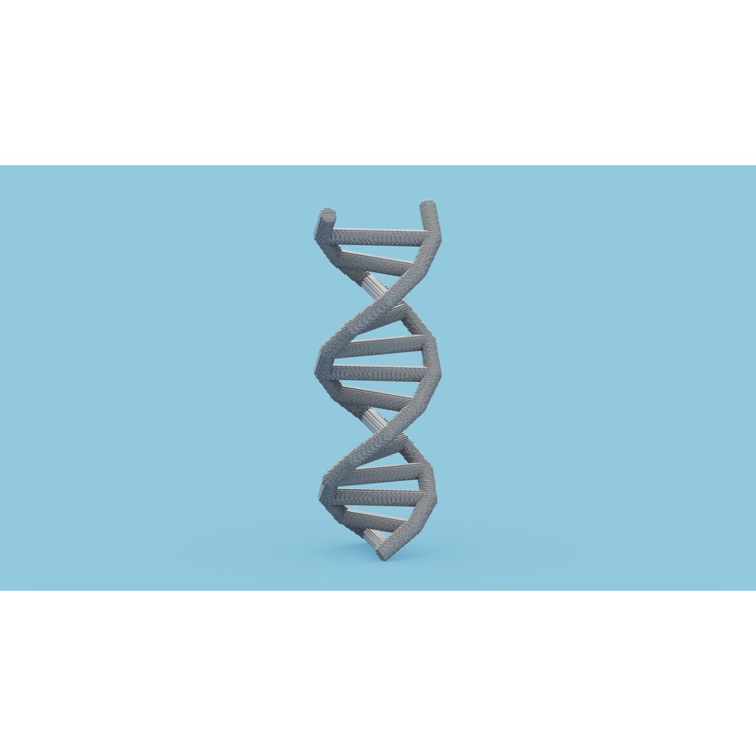 DNA Voxel 3D Model – Low Poly Game Asset, FBX, OBJ, Blender - View 4