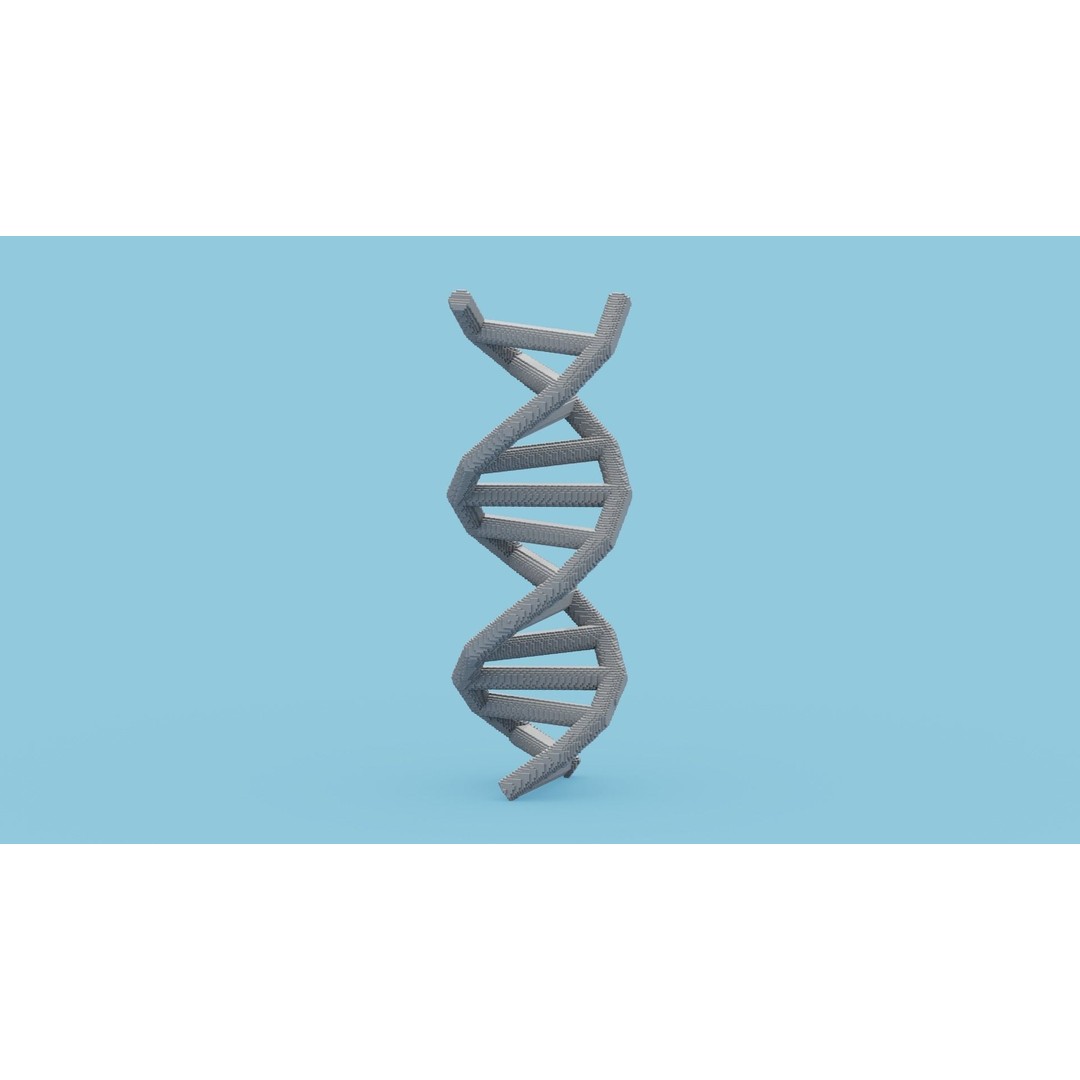 DNA Voxel 3D Model – Low Poly Game Asset, FBX, OBJ, Blender - View 5
