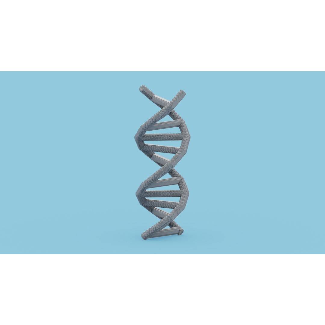 DNA Voxel 3D Model – Low Poly Game Asset, FBX, OBJ, Blender - View 6