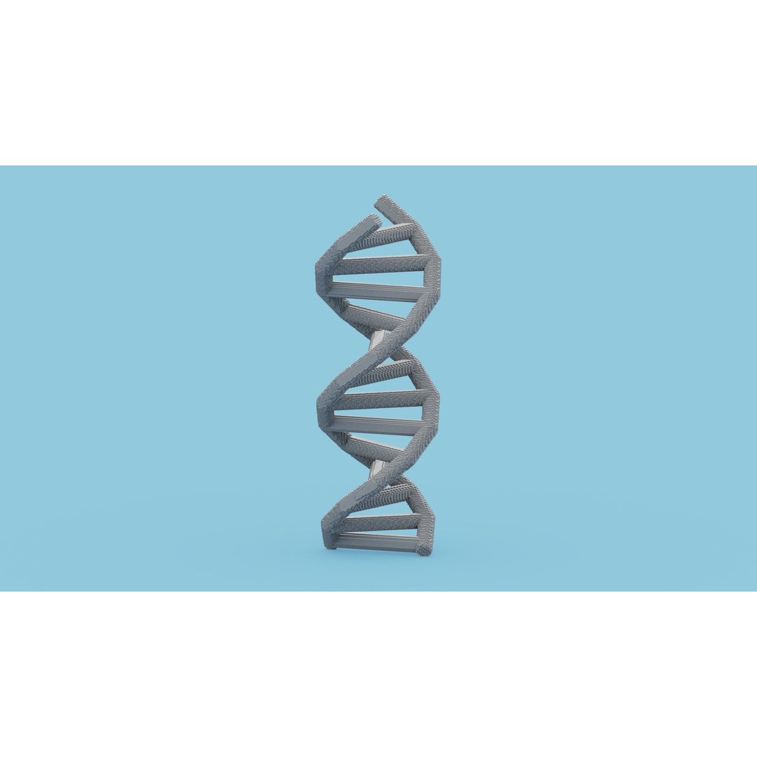 DNA Voxel 3D Model – Low Poly Game Asset, FBX, OBJ, Blender - View 8