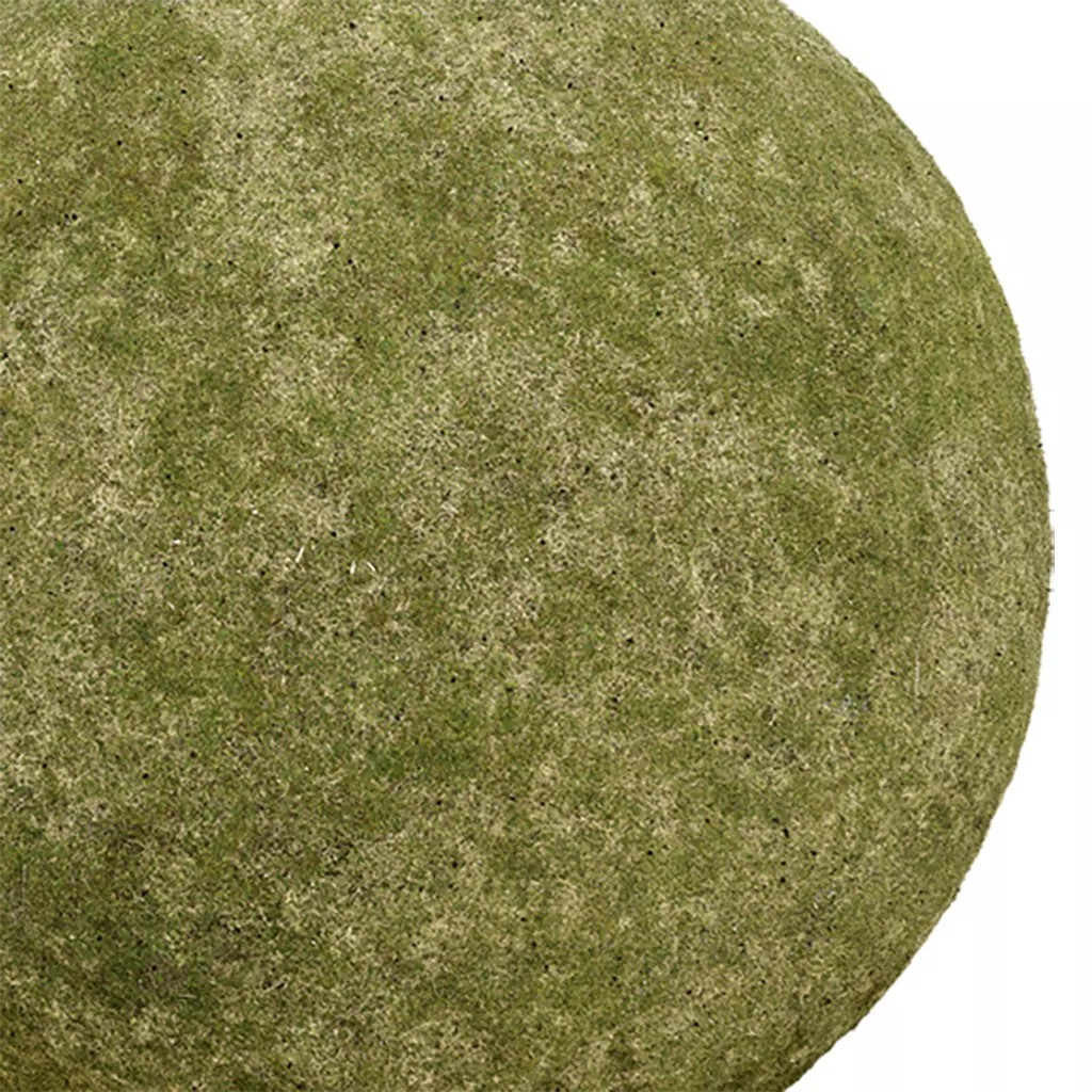 Grass Seamless Texture 3D Model – 2K PBR Textures, EXR & JPG Formats - View 2