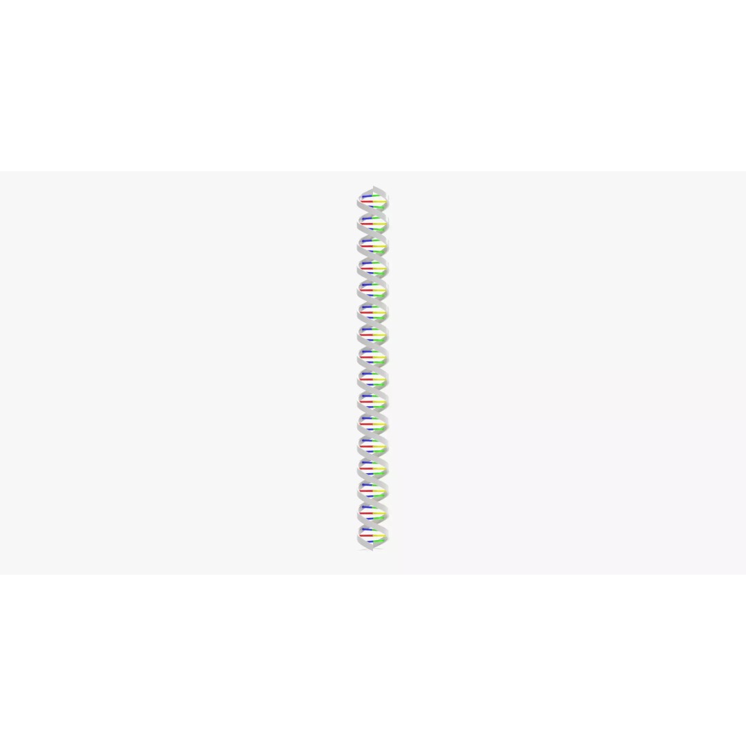 DNA Double Helix 3D Model – Stylized Educational Structure, Blender - View 4