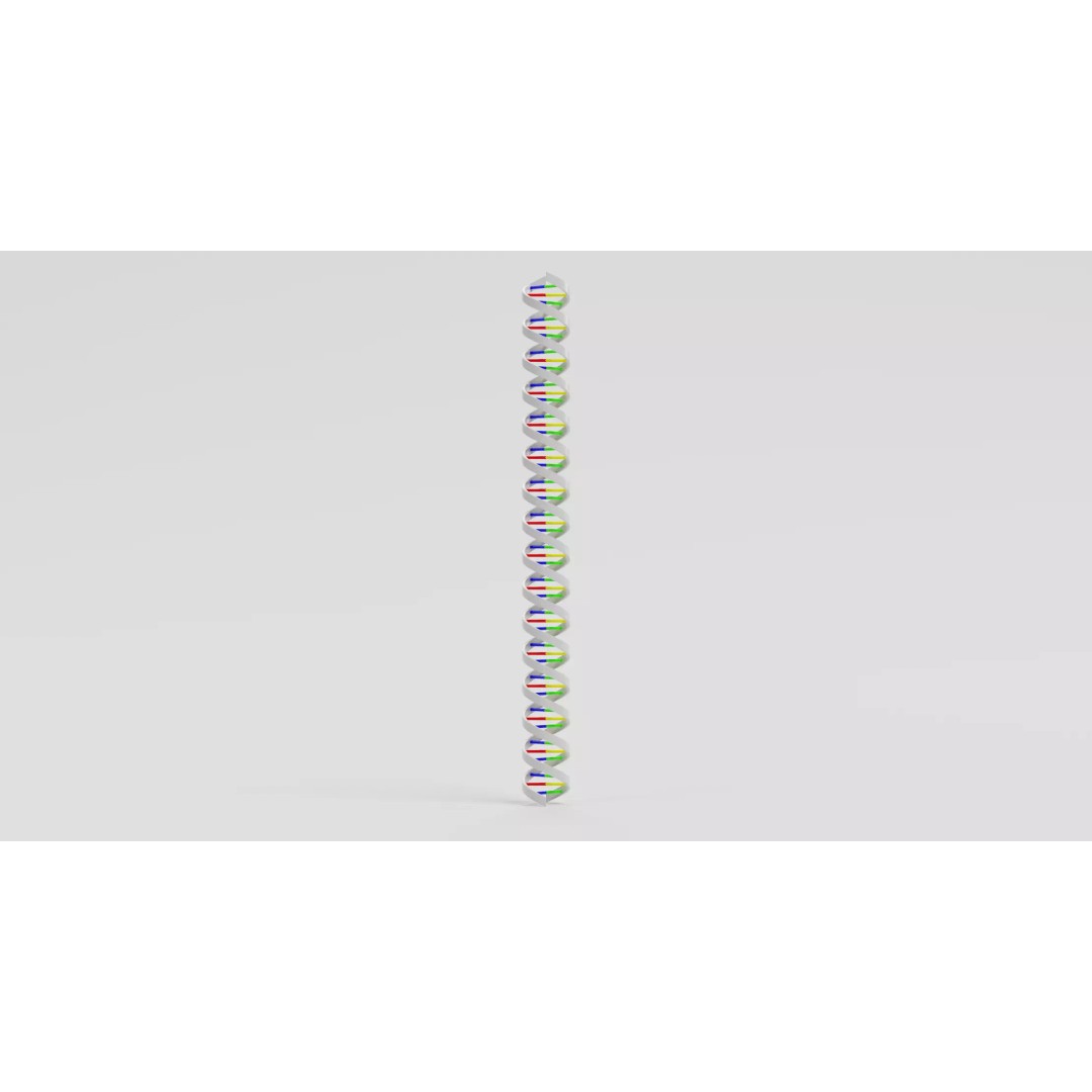 DNA Double Helix 3D Model – Stylized Educational Structure, Blender - View 5