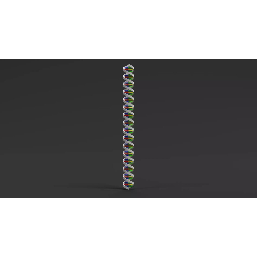 DNA Double Helix 3D Model – Stylized Educational Structure, Blender - View 7
