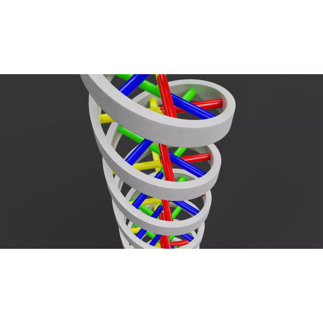DNA Double Helix 3D Model – Stylized Educational Structure, Blender - View 9