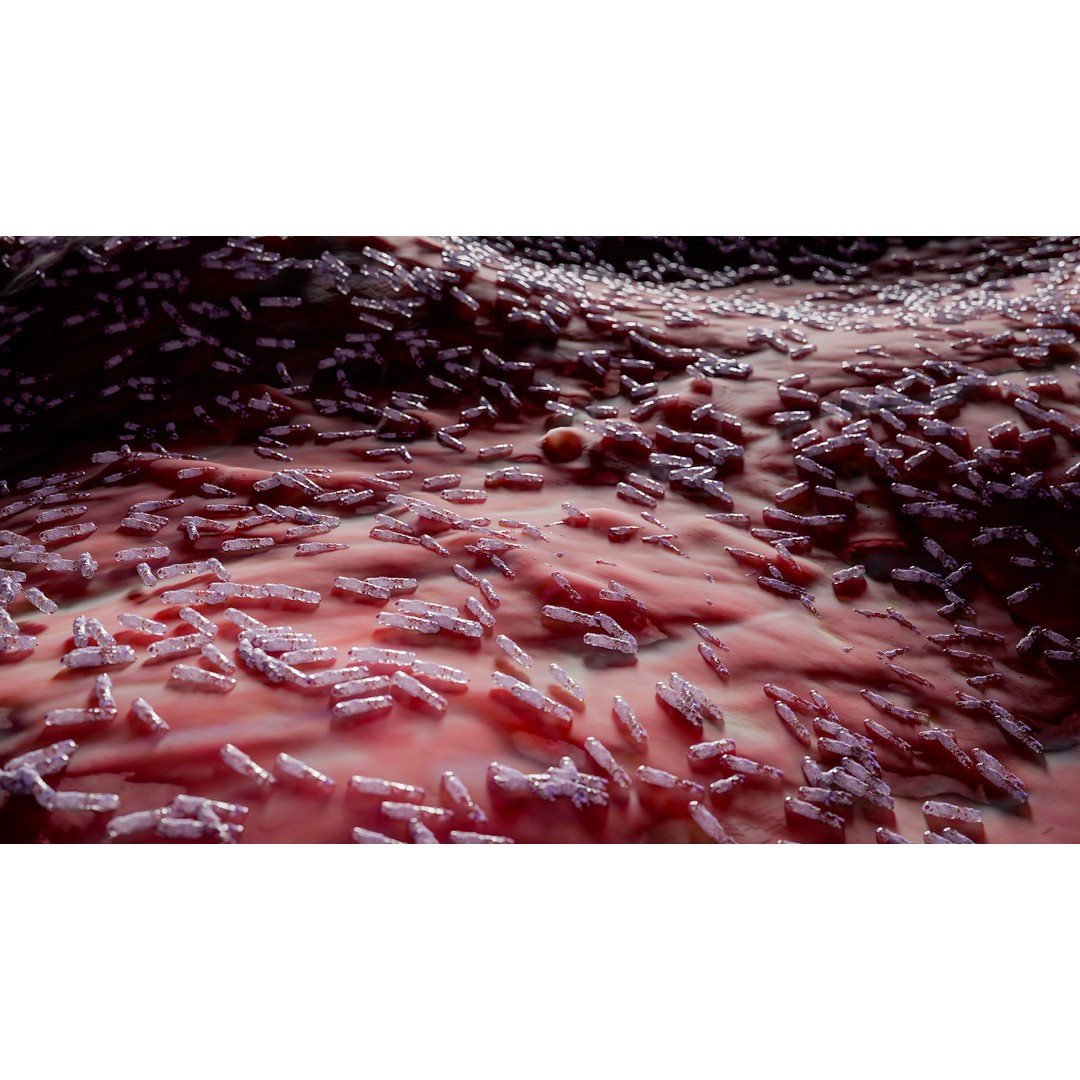 Tuberculosis Bacteria 3D Model – High-Detail Medical Visualization, FBX, OBJ, Blender