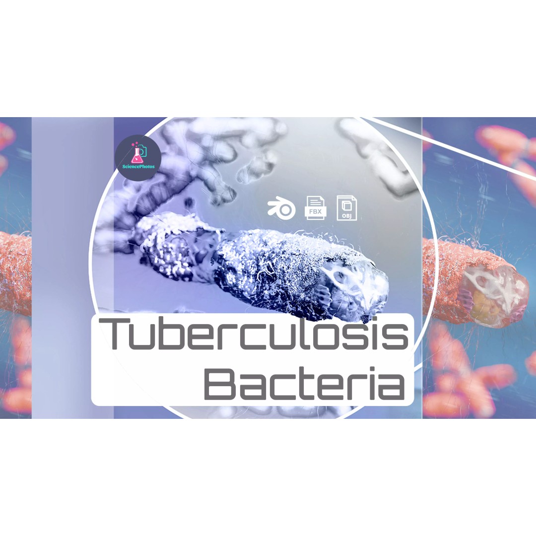 Tuberculosis Bacteria 3D Model – High-Detail Medical Visualization, FBX, OBJ, Blender - View 2