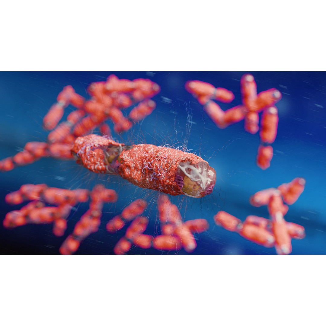 Tuberculosis Bacteria 3D Model – High-Detail Medical Visualization, FBX, OBJ, Blender - View 3