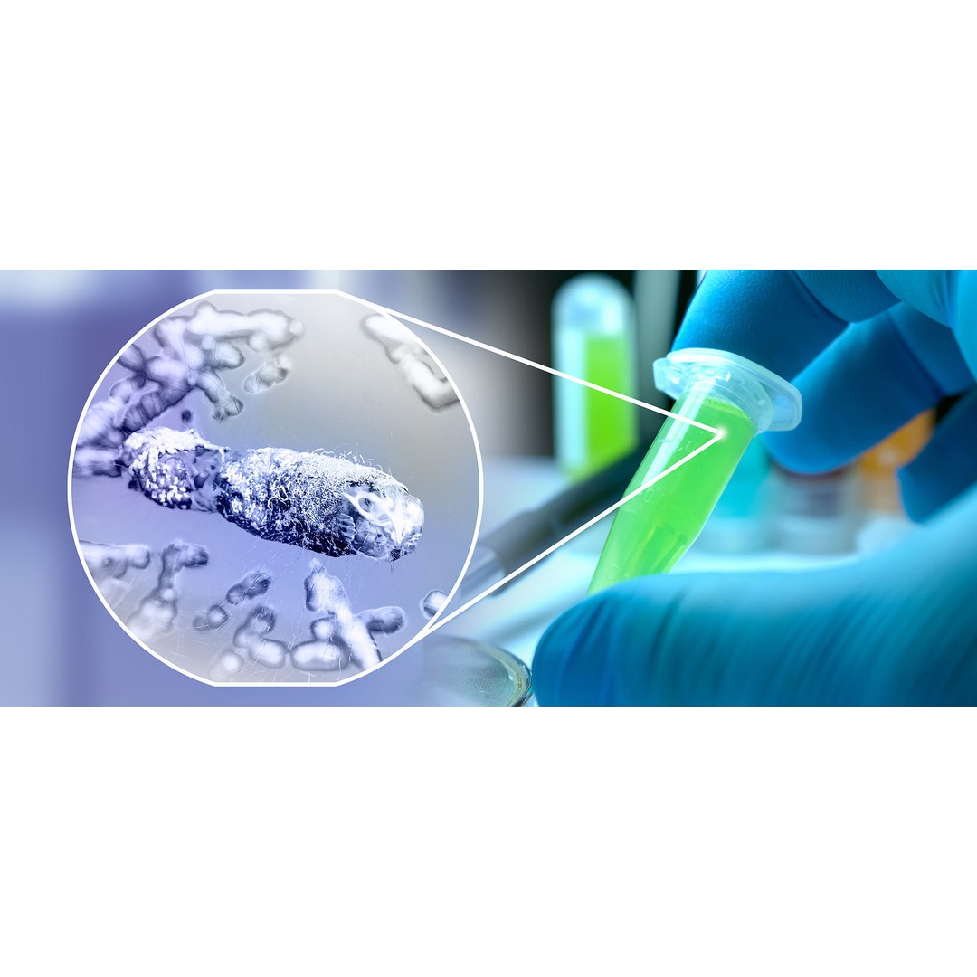 Tuberculosis Bacteria 3D Model – High-Detail Medical Visualization, FBX, OBJ, Blender - View 7