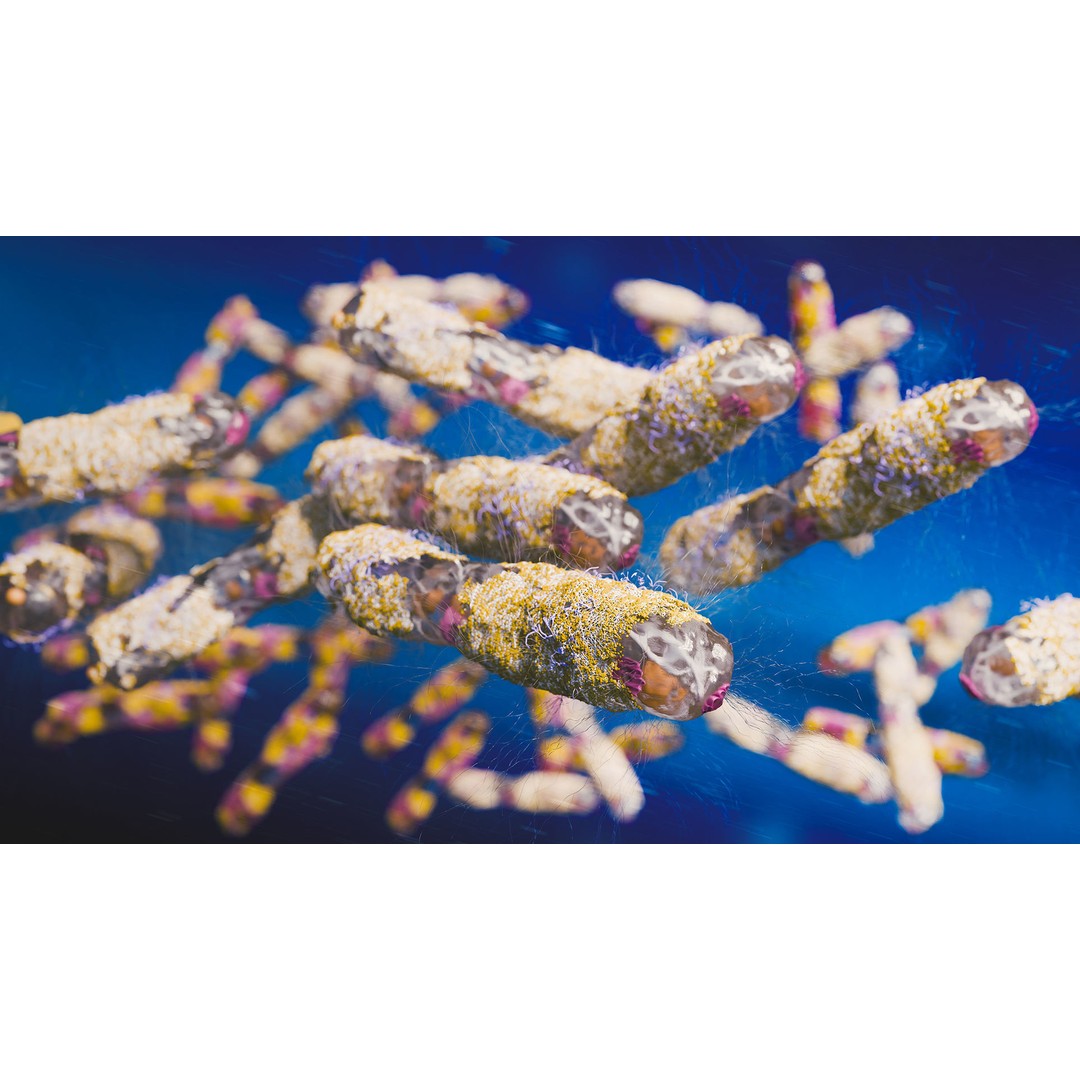 Tuberculosis Bacteria 3D Model – High-Detail Medical Visualization, FBX, OBJ, Blender - View 8