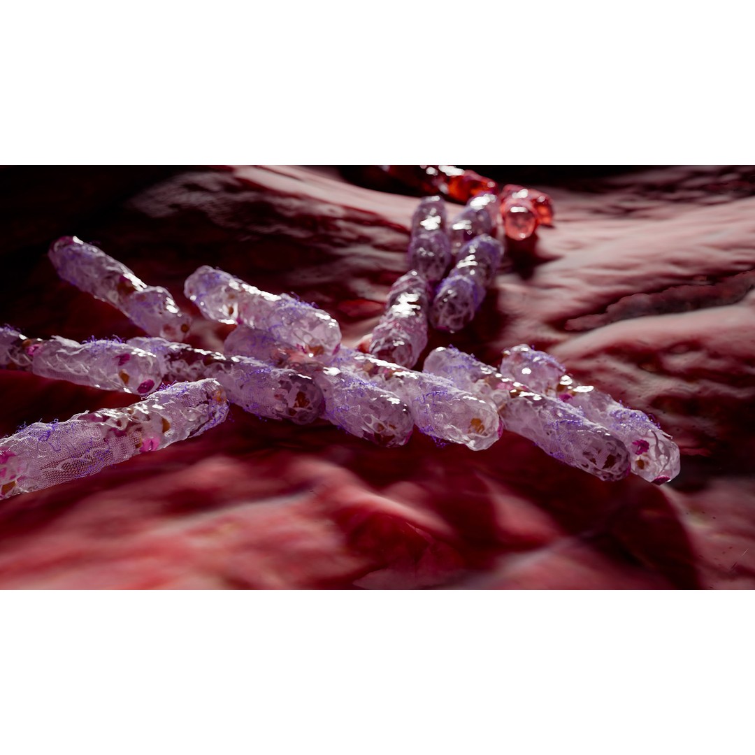 Tuberculosis Bacteria 3D Model – High-Detail Medical Visualization, FBX, OBJ, Blender - View 9