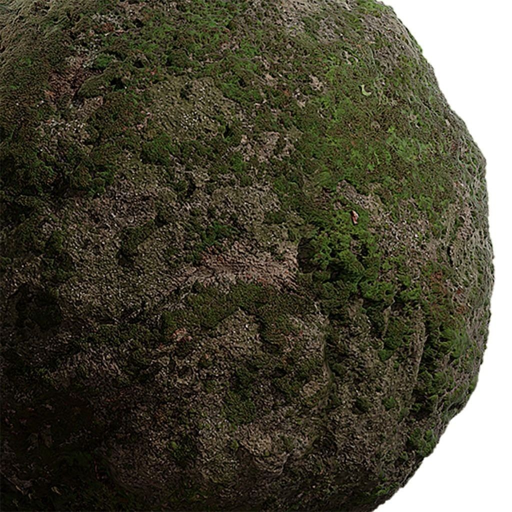 Moss Seamless Texture 3D Model – High-Quality PBR Textures, EXR & JPG