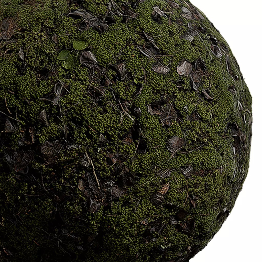 Moss Seamless Texture 3D Model – High-Quality PBR Textures, EXR & JPG - View 2
