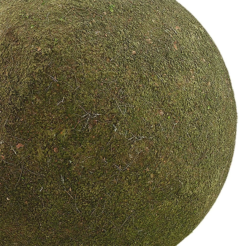Moss Seamless Texture 3D Model – High-Quality PBR Textures, EXR & JPG - View 3