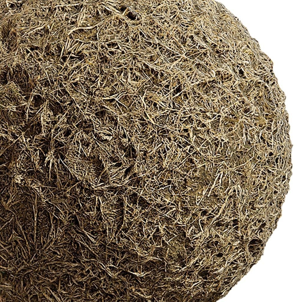 Grass Seamless Texture 3D Model – High-Quality PBR Textures, EXR and JPG