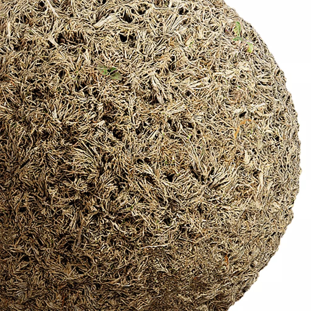 Grass Seamless Texture 3D Model – High-Quality PBR Textures, EXR and JPG - View 2
