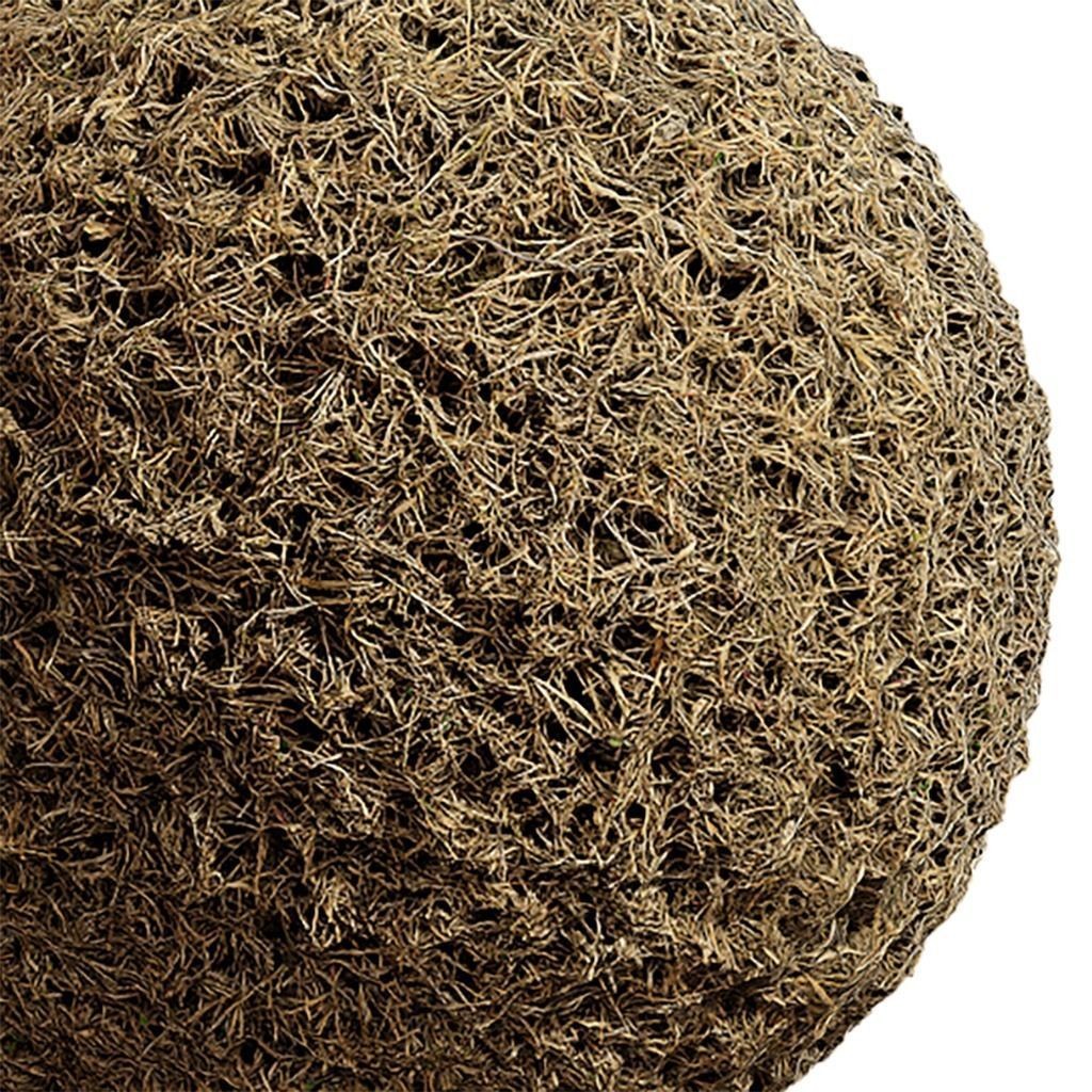 Grass Seamless Texture 3D Model – High-Quality PBR Textures, EXR and JPG - View 3