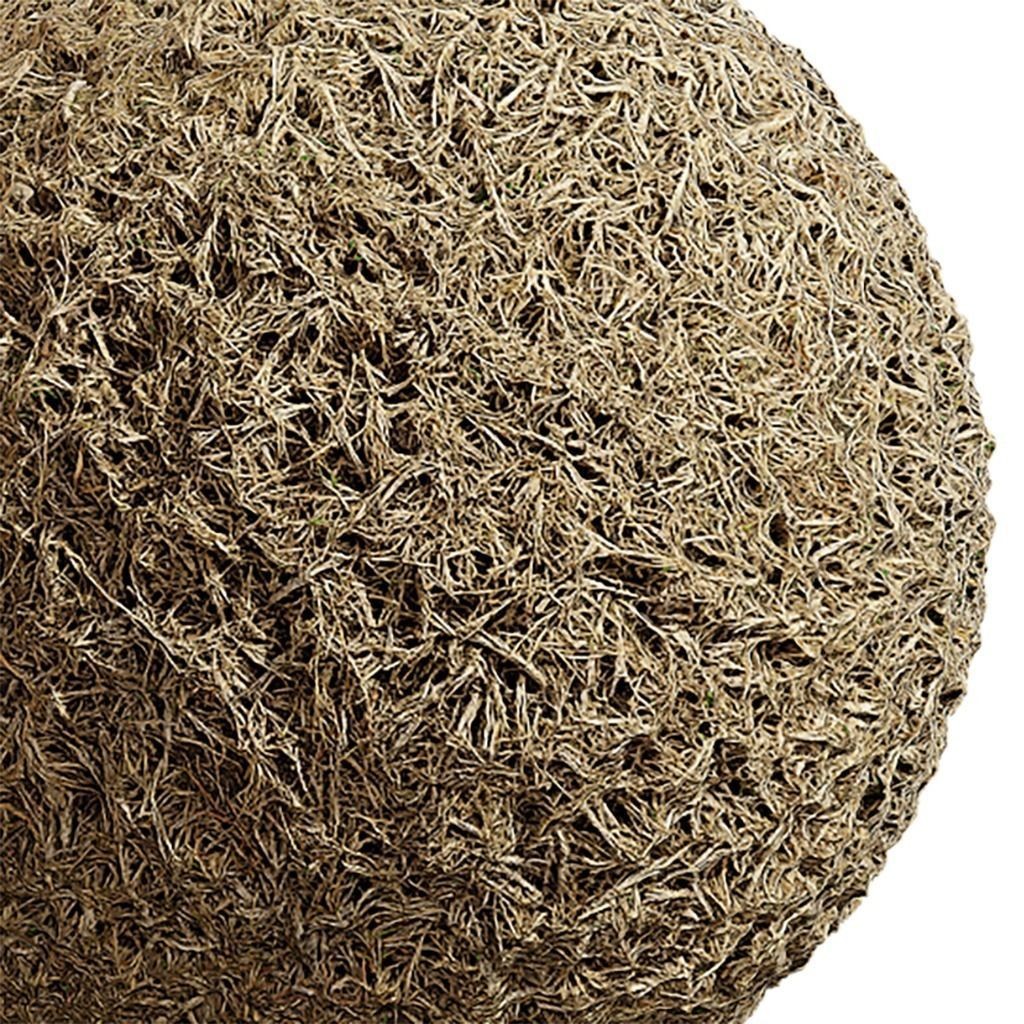 Grass Seamless Texture 3D Model – High-Quality PBR Textures, EXR and JPG - View 5