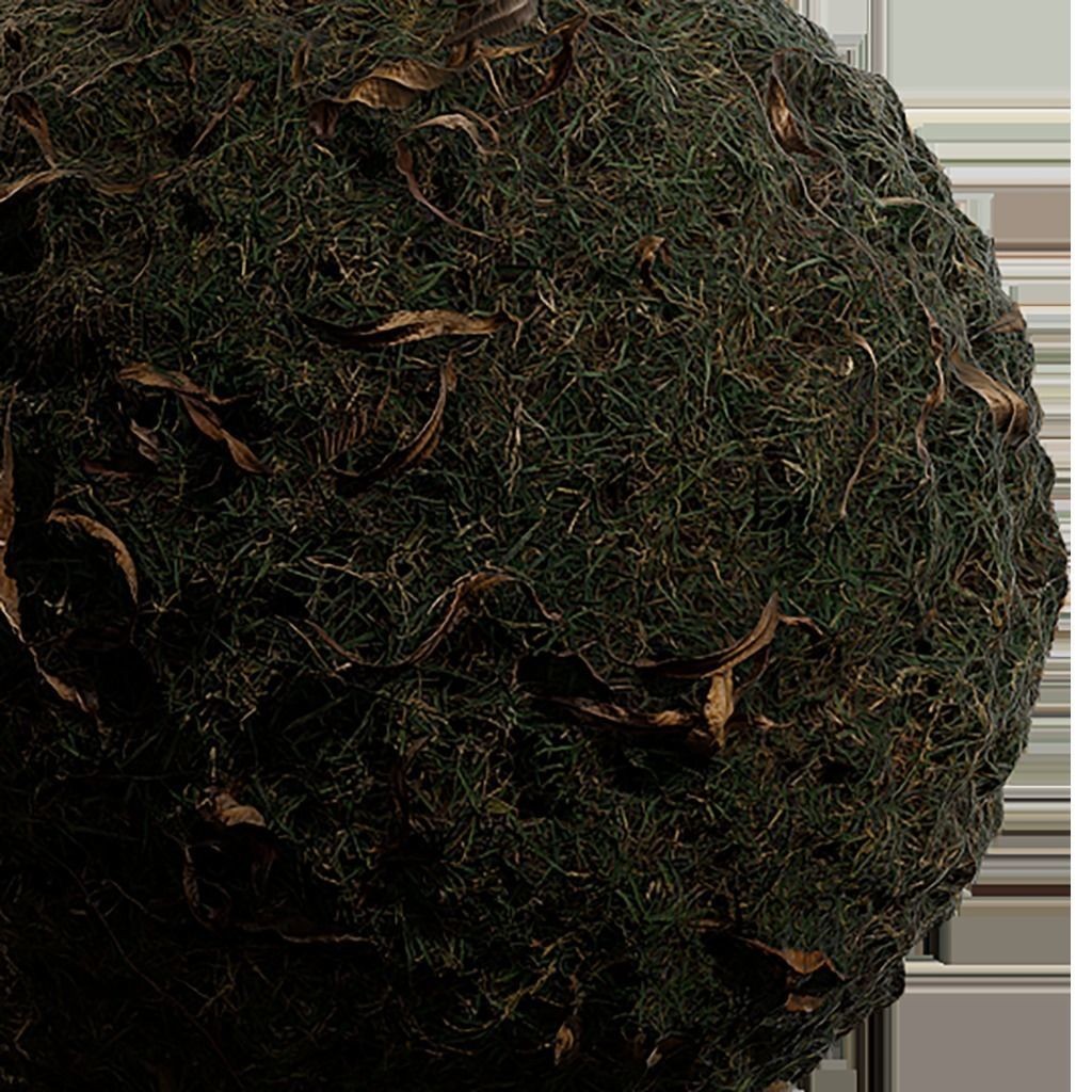 Seamless Natural Texture 3D Model – 2K PBR Textures, EXR & JPG Formats