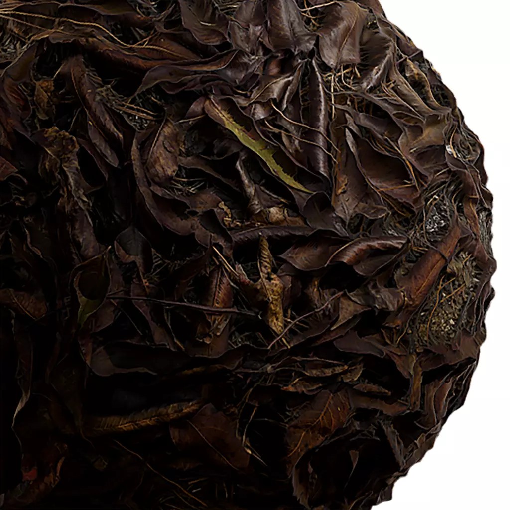 Seamless Natural Texture 3D Model – 2K PBR Textures, EXR & JPG Formats - View 2
