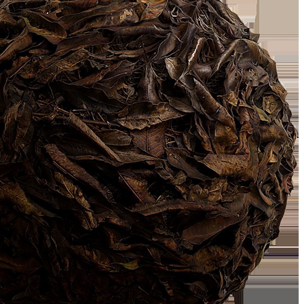 Seamless Natural Texture 3D Model – 2K PBR Textures, EXR & JPG Formats - View 3