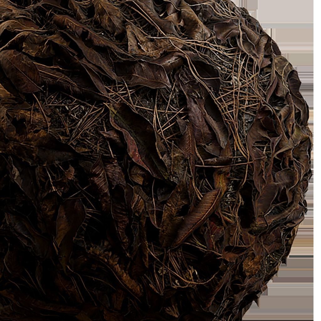 Seamless Natural Texture 3D Model – 2K PBR Textures, EXR & JPG Formats - View 4