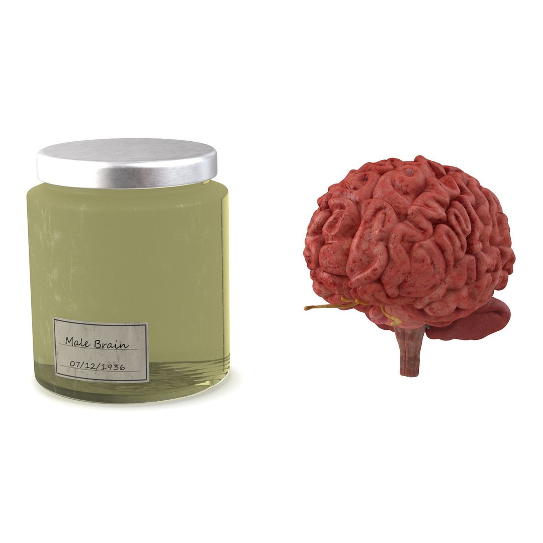 Human Brain in Glass Jar 3D Model – High Poly PBR Asset, FBX, OBJ - View 10