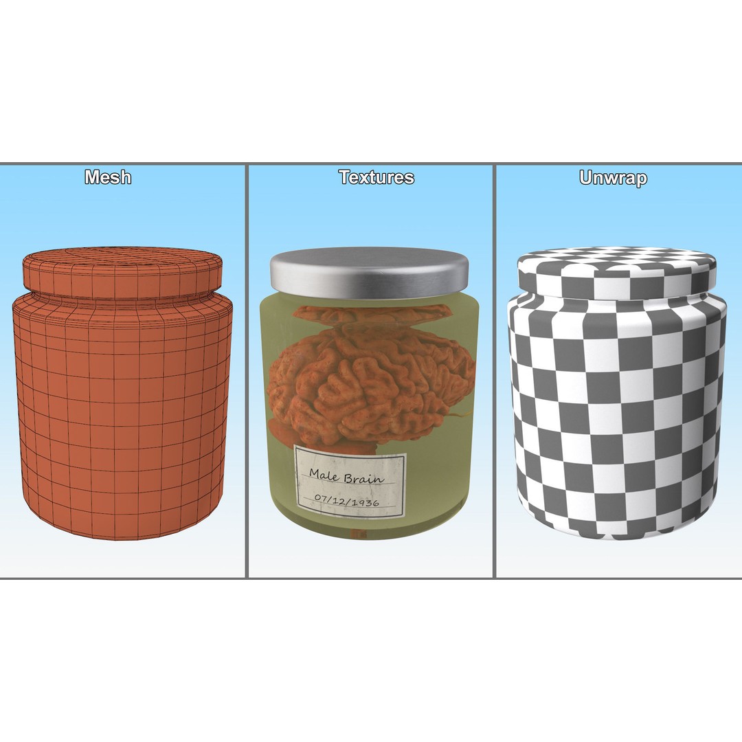 Human Brain in Glass Jar 3D Model – High Poly PBR Asset, FBX, OBJ - View 11