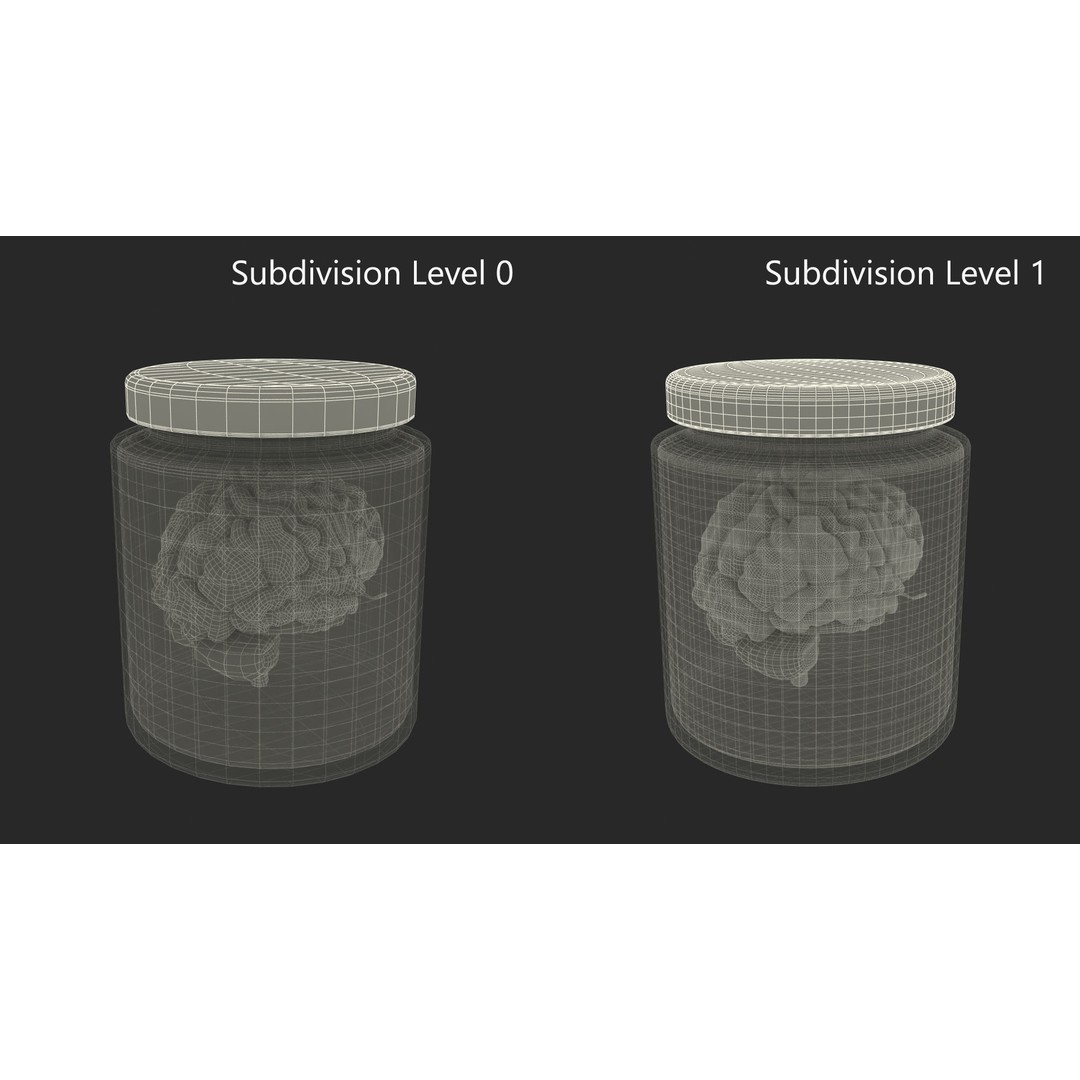 Human Brain in Glass Jar 3D Model – High Poly PBR Asset, FBX, OBJ - View 12