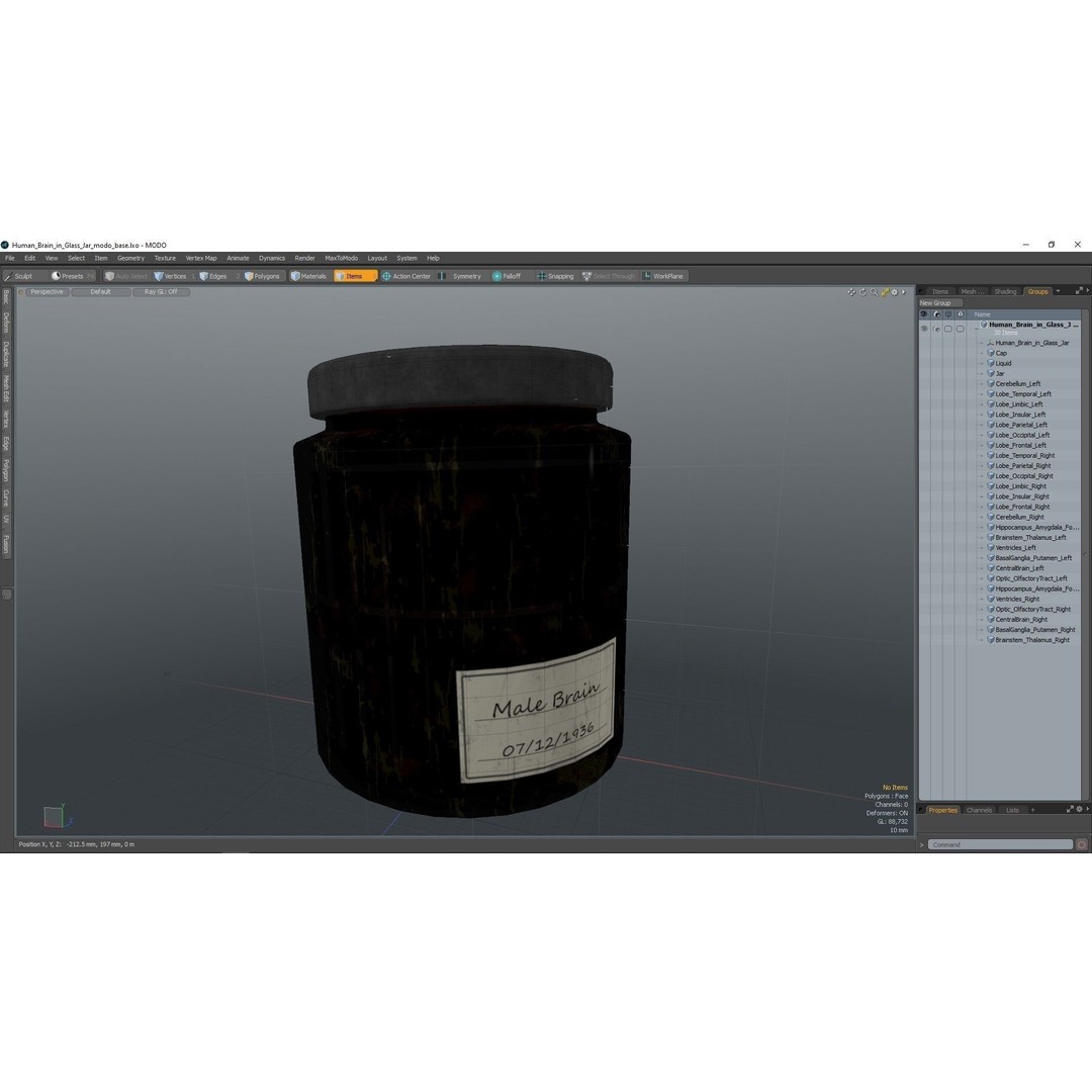 Human Brain in Glass Jar 3D Model – High Poly PBR Asset, FBX, OBJ - View 17