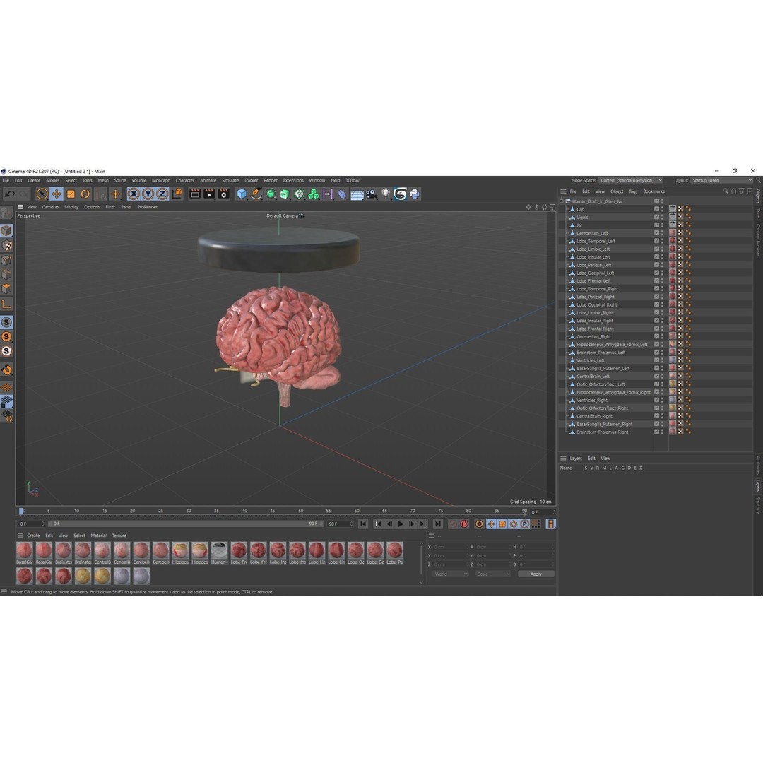 Human Brain in Glass Jar 3D Model – High Poly PBR Asset, FBX, OBJ - View 18