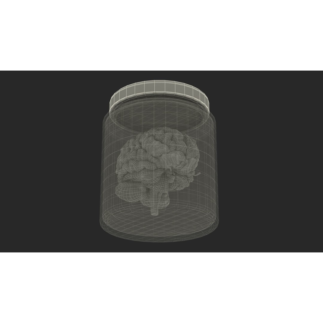 Human Brain in Glass Jar 3D Model – High Poly PBR Asset, FBX, OBJ - View 21