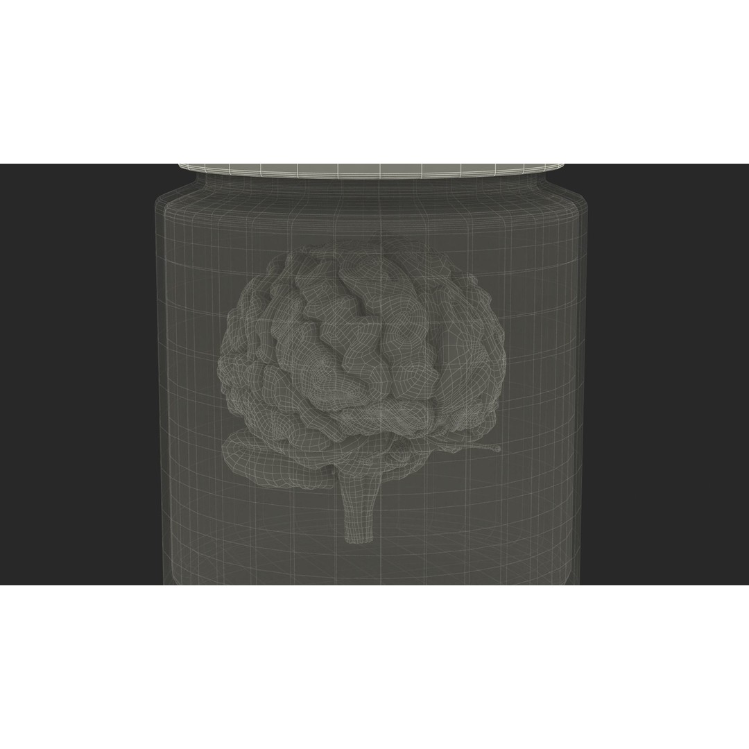 Human Brain in Glass Jar 3D Model – High Poly PBR Asset, FBX, OBJ - View 22
