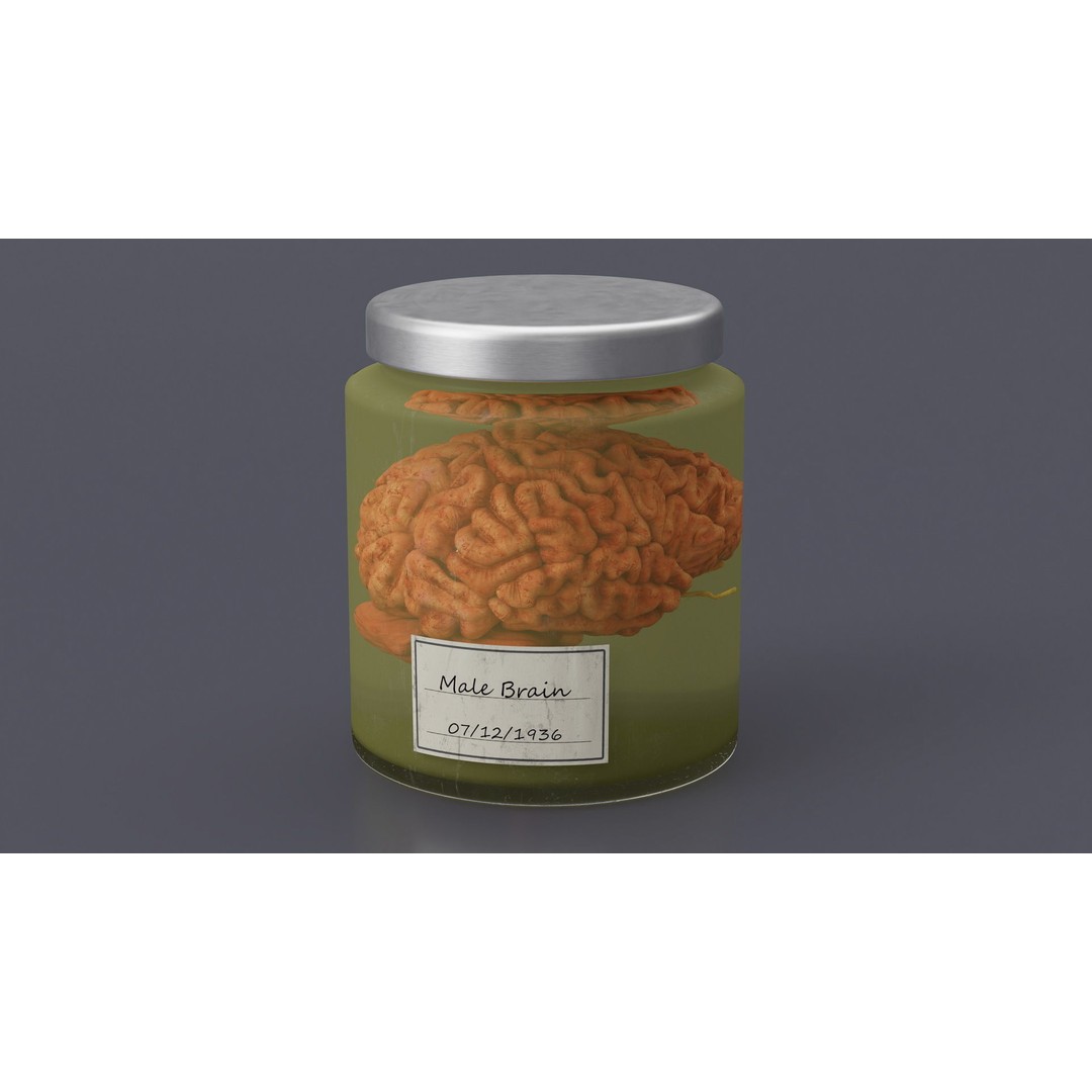 Human Brain in Glass Jar 3D Model – High Poly PBR Asset, FBX, OBJ - View 4