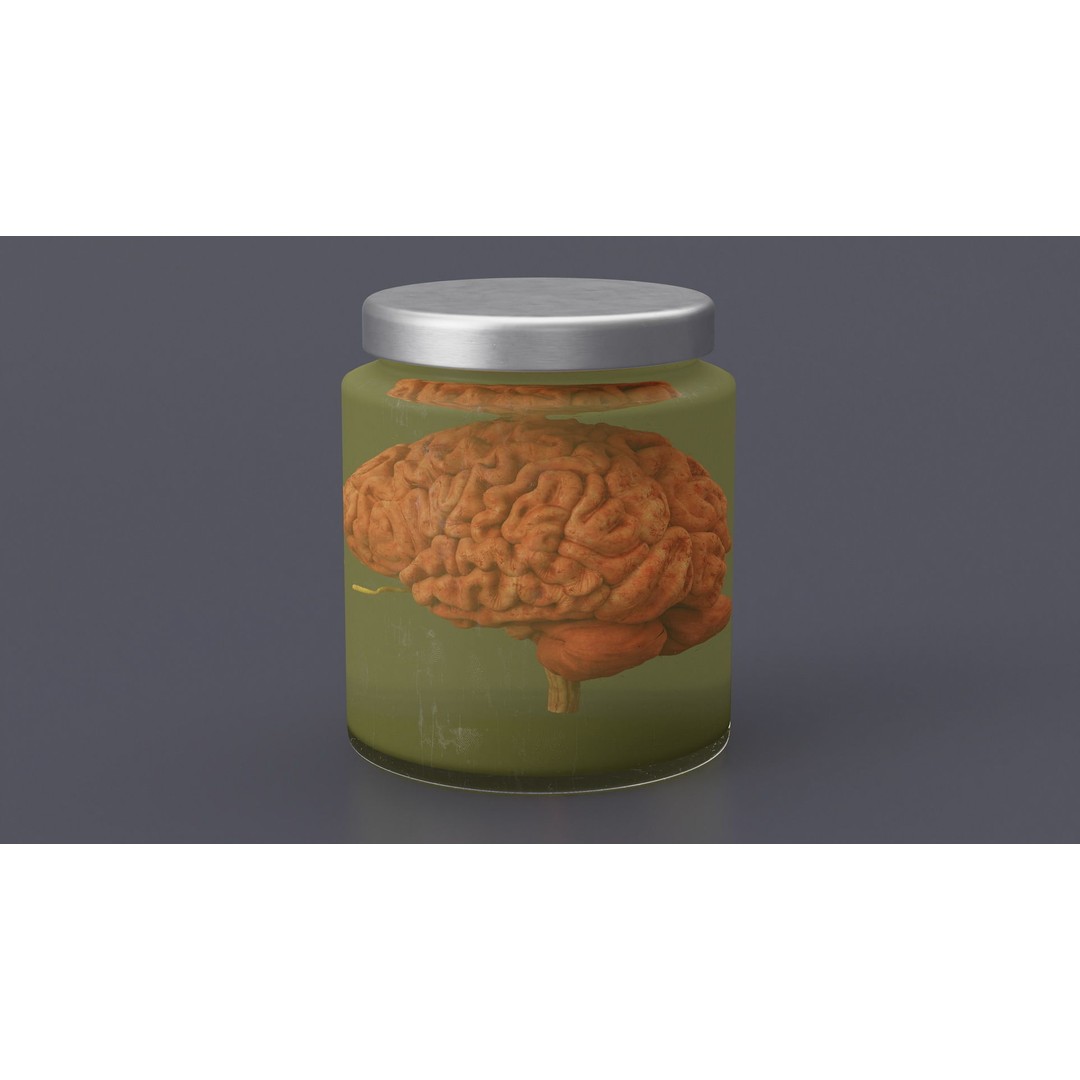 Human Brain in Glass Jar 3D Model – High Poly PBR Asset, FBX, OBJ - View 5