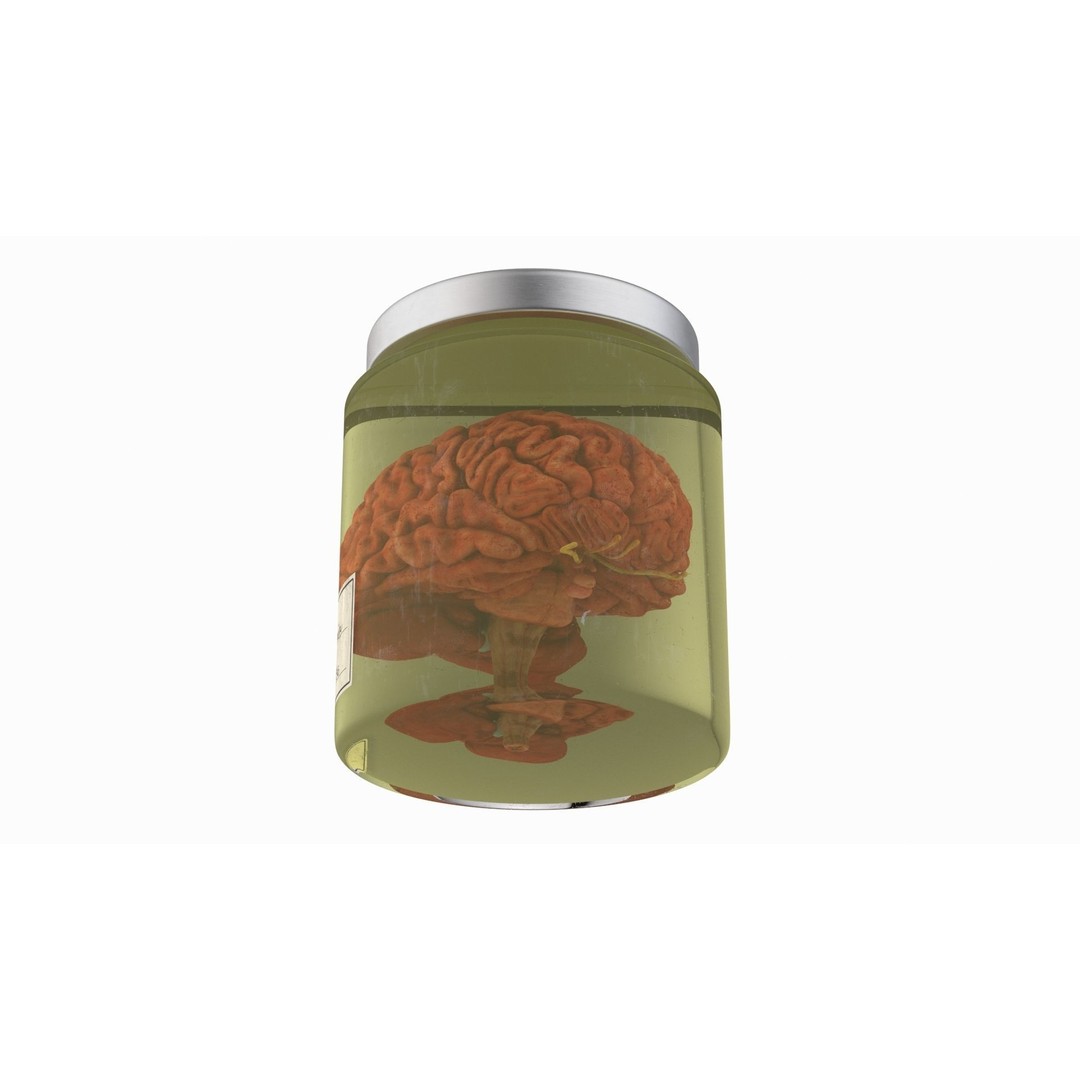 Human Brain in Glass Jar 3D Model – High Poly PBR Asset, FBX, OBJ - View 6