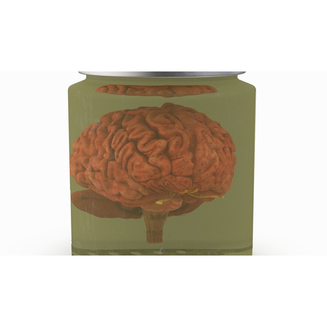 Human Brain in Glass Jar 3D Model – High Poly PBR Asset, FBX, OBJ - View 7