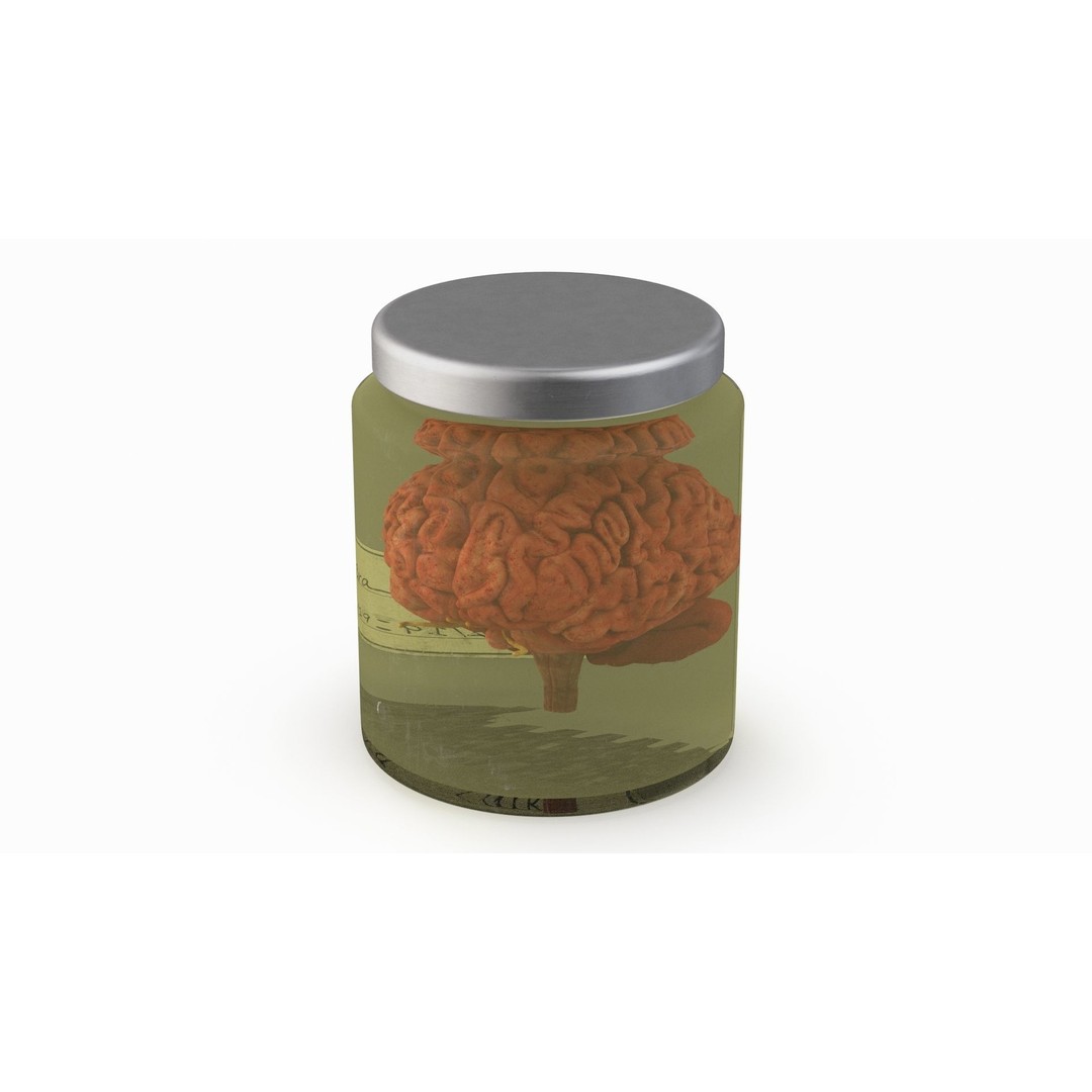 Human Brain in Glass Jar 3D Model – High Poly PBR Asset, FBX, OBJ - View 8