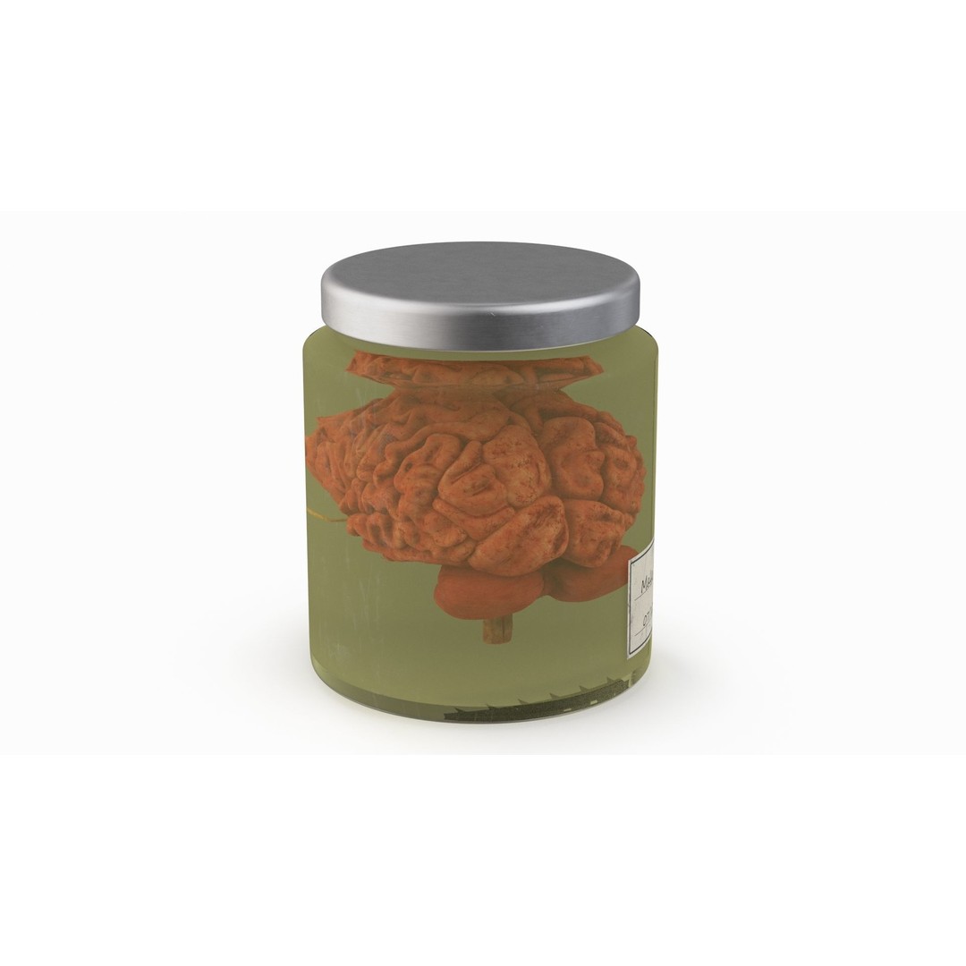 Human Brain in Glass Jar 3D Model – High Poly PBR Asset, FBX, OBJ - View 9