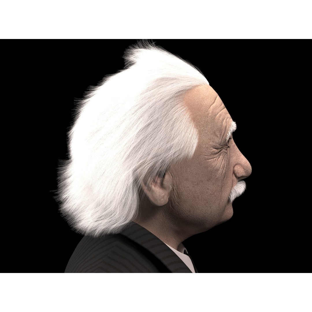 Albert Einstein 3D Model – High Poly Character, Rigged for 3DSMAX - View 6