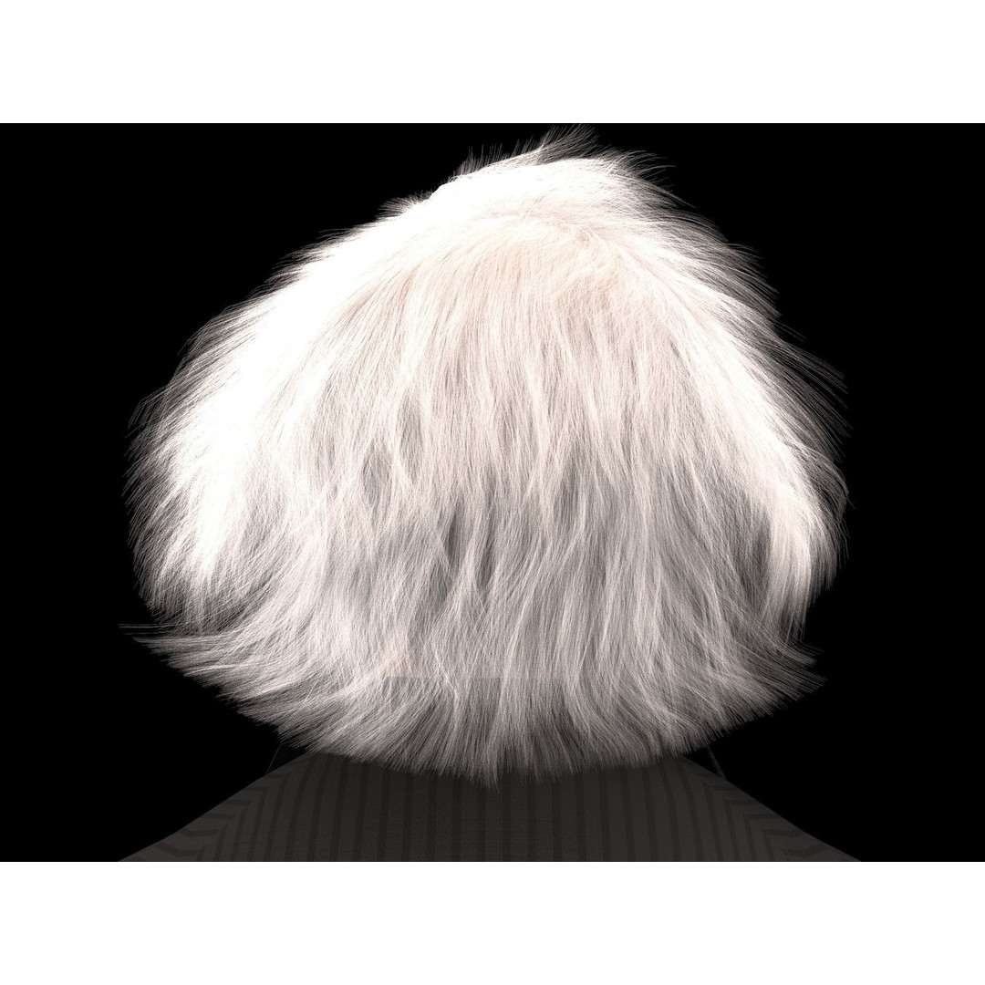 Albert Einstein 3D Model – High Poly Character, Rigged for 3DSMAX - View 7