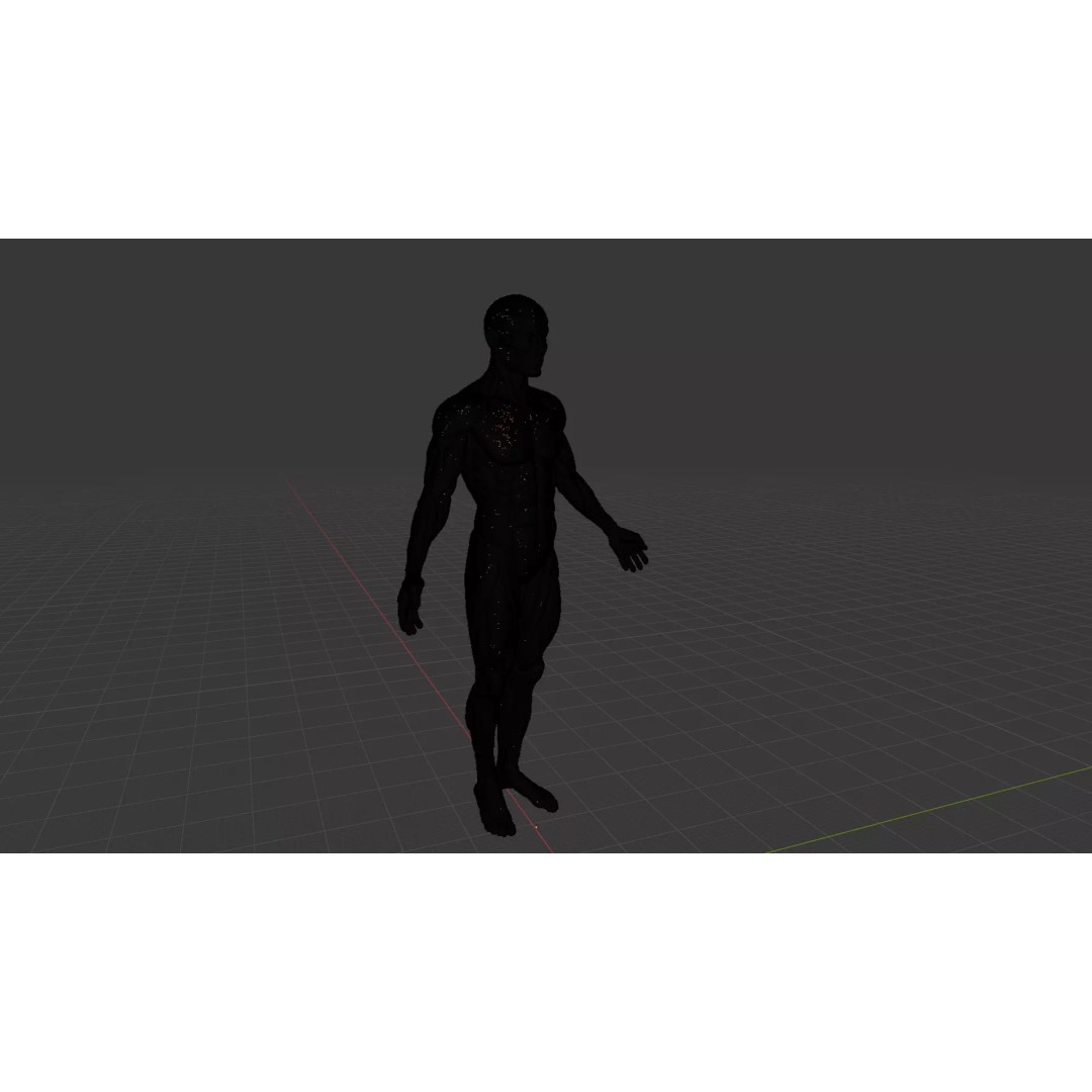 Human Muscular System 3D Model – Rigged PBR Asset for Medical Visualization - View 56